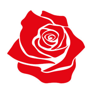 LE ROSE DI V. SRL