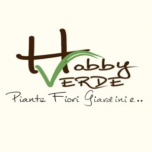 HOBBY VERDE