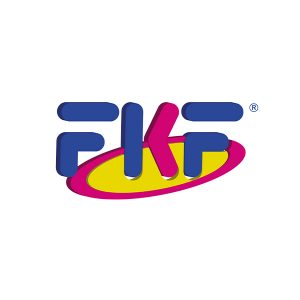 FKF S.R.L. INSPIRED BY HAIR