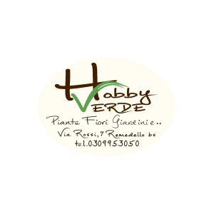 HOBBY VERDE
