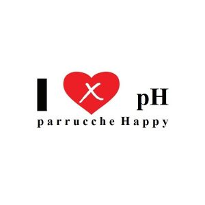 PARRUCCHE HAPPY