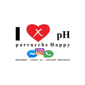 LUCAXFIRMO PARRUCCHE HAPPY